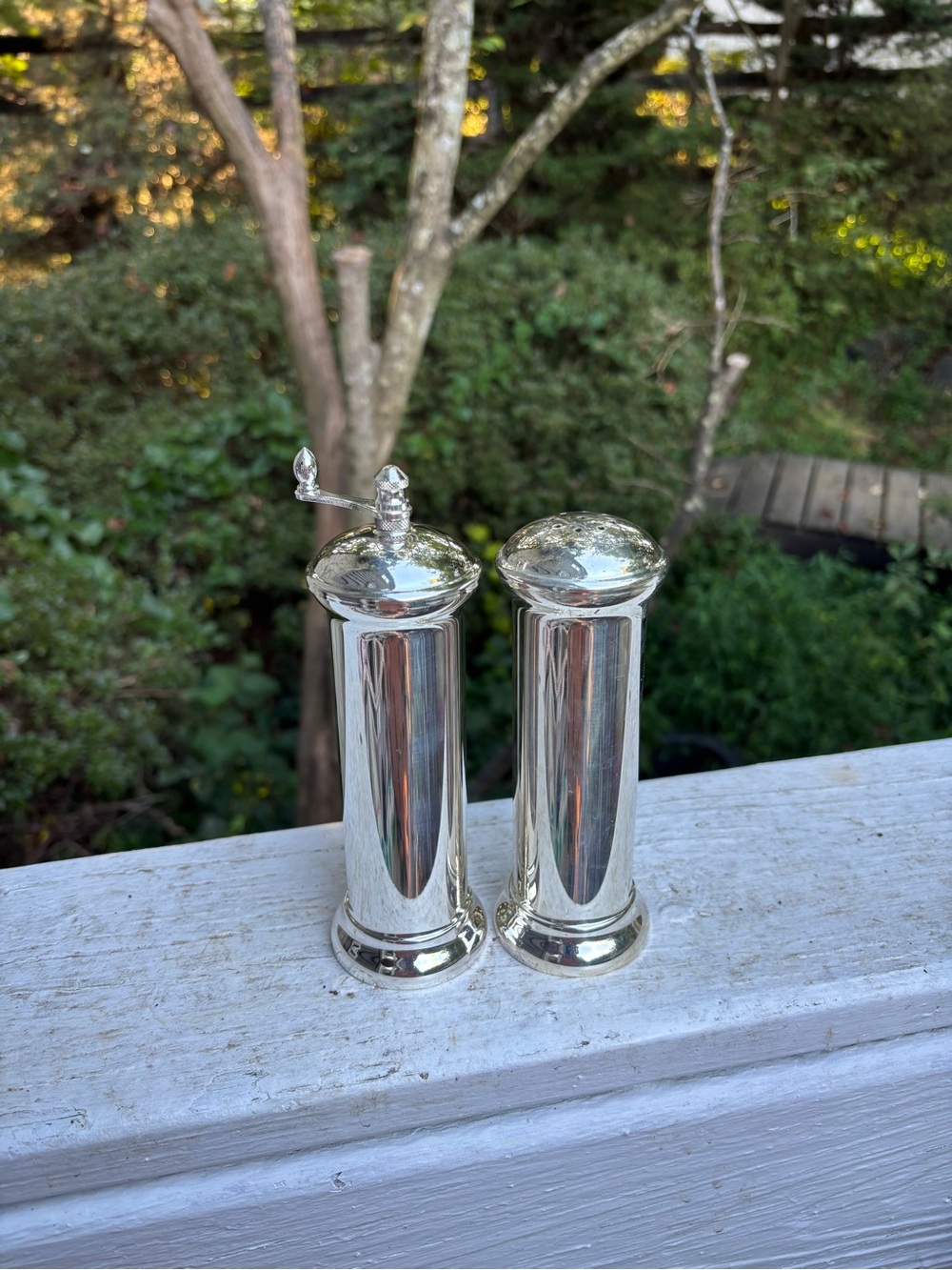 Maestri by Gorham Fine Silver Plate Pepper Mill and Salt Shaker Set